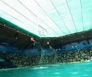 Đại cung Tiên Ngư Suối Tiên