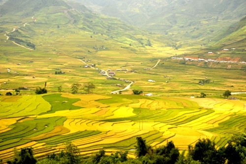 Lễ hội ruộng bậc thang Mù Cang Chải năm 2014